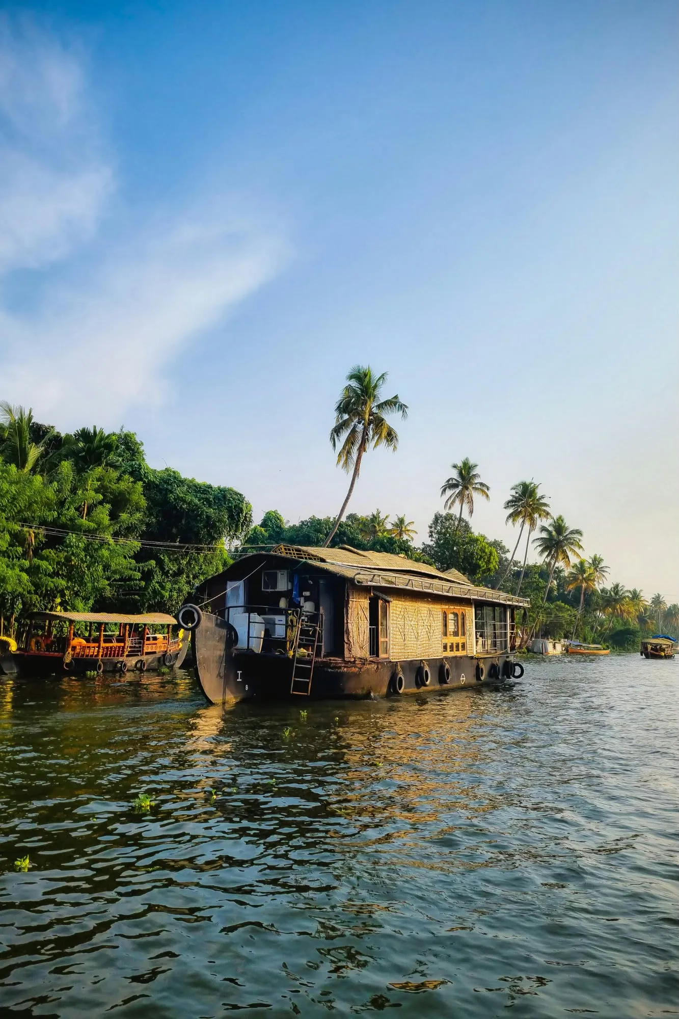 Tipica casa galleggiante indiana che naviga lungo un canale orlato di alte palme da cocco in Kerala.