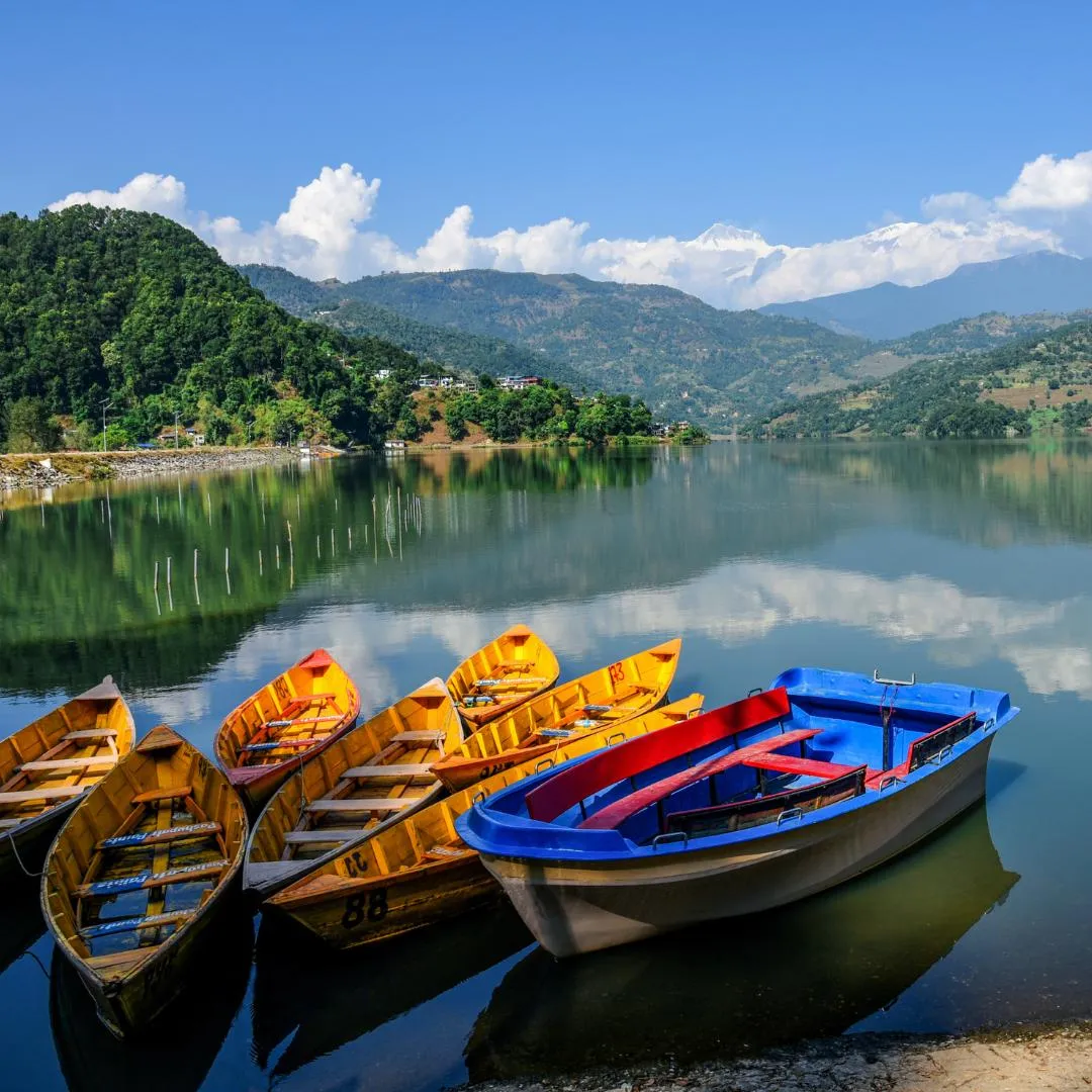 Colorate barche gialle e blu ormeggiate sulla riva del lago a Pokhara con le montagne dell'Himalaya riflesse nell'acqua.