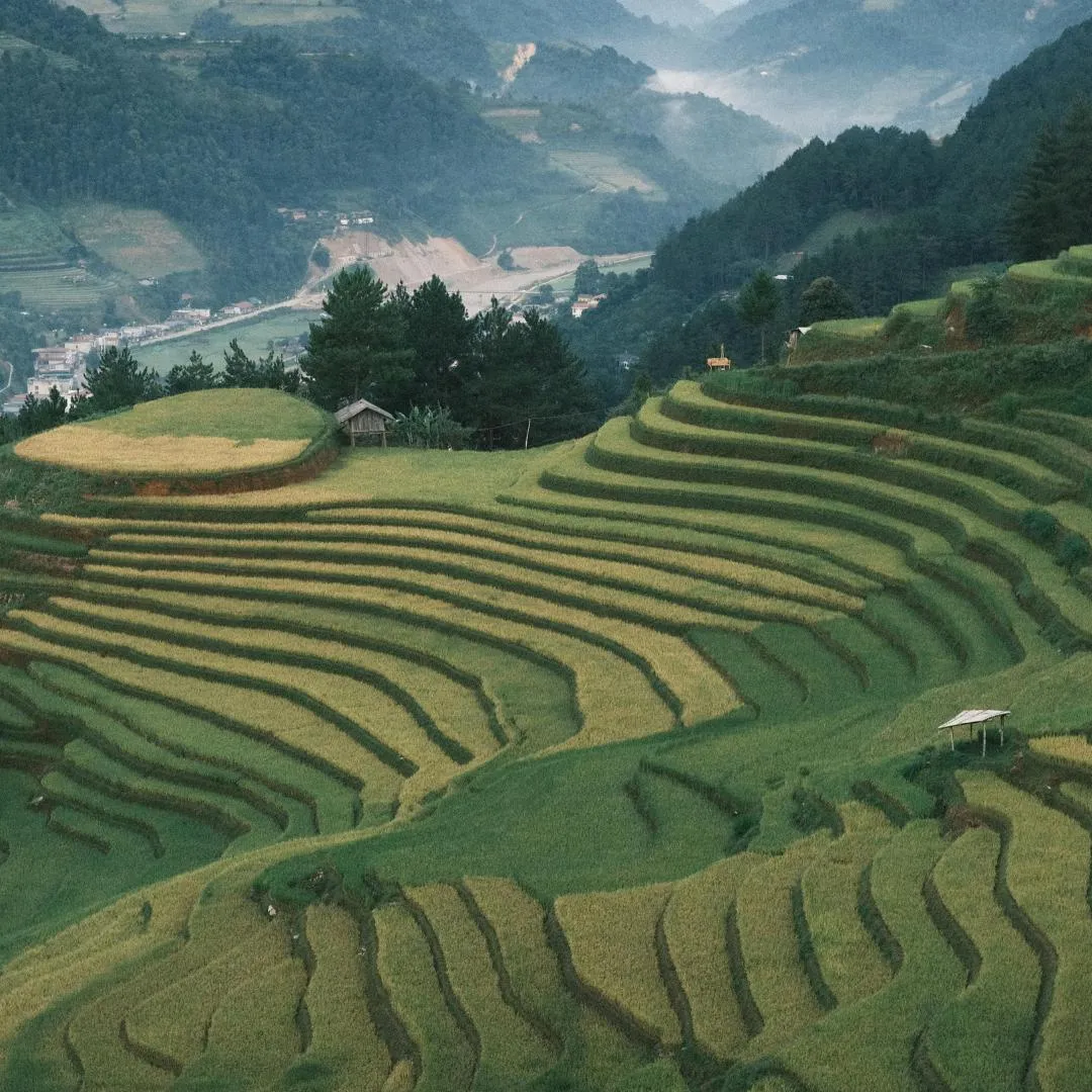 Veduta panoramica delle verdi risaie a terrazzamento sulle colline rurali del Nepal durante un viaggio organizzato.